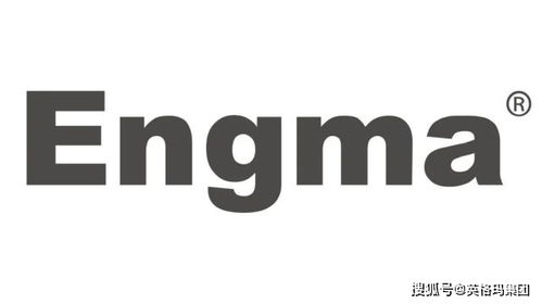 英格玛集团软件外包服务荣获2022新旗奖创新竞赛年度产品大奖